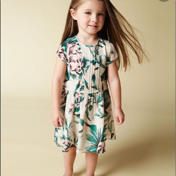 Burberry Teresa Pintuck Floral Silk Garden Dress Size 2 Years - Picture 1 of 16